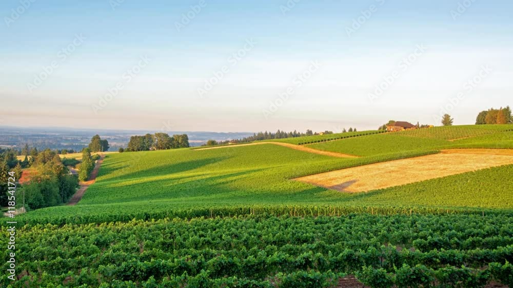 Time Lapse video of the sun coming up in the Dundee Hills in Oregon Wine Country with the camera zooming in and panning right Time Lapse video of the sun coming up in the Dundee Hills in Oregon Wine Country with the camera zooming in and panning right