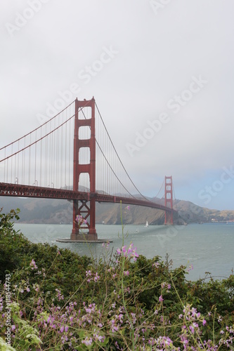 Golden Gate Bridge, San Francisco, California, USA © evolutionnow