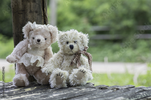 Couple Teddy Bears on wooden table.
