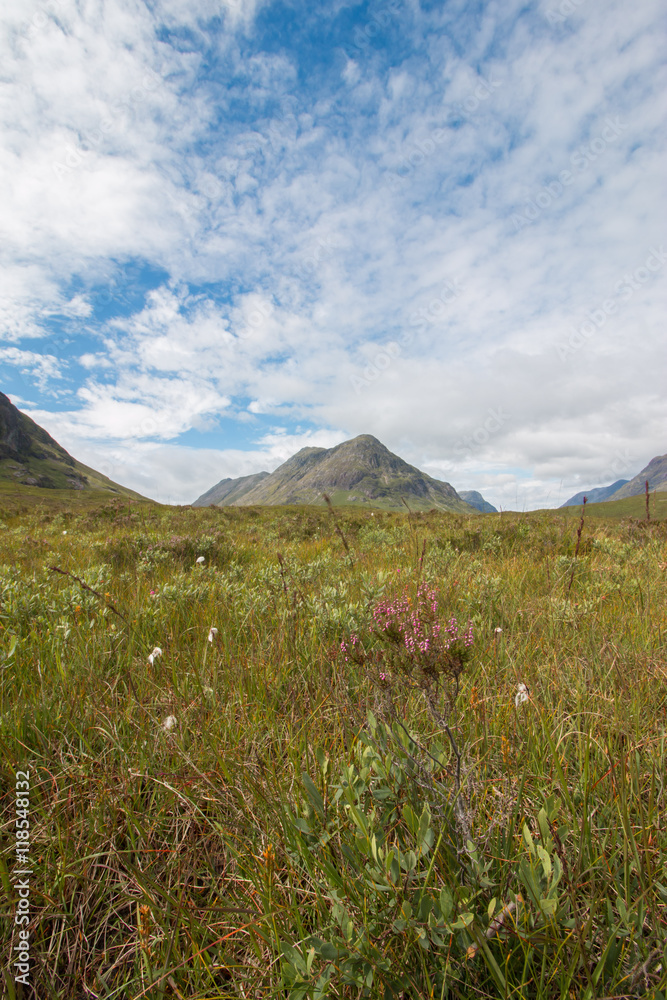 Moor im Glen Coe Tal, Highlands, Schottland