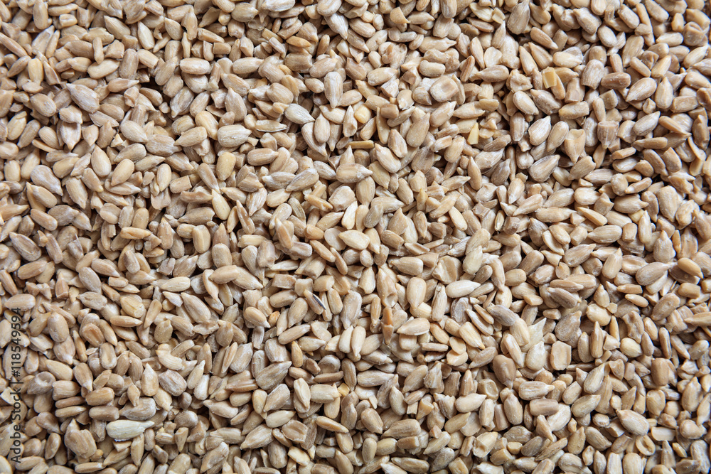 Sunflower seeds as background Sunflower seeds as background