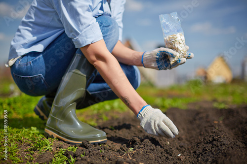 Woman sowing