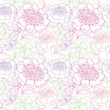 rosy peony floral sketch. spring flower vector illustration. bla