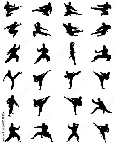 Black silhouettes of karate fighting, vector