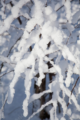 snow landscape tree 