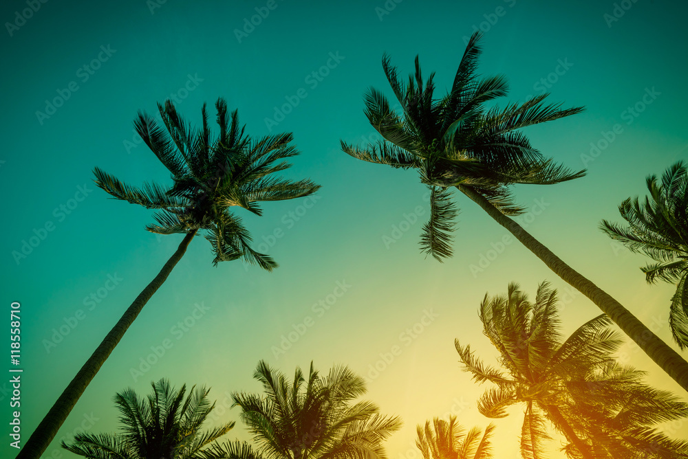 Fototapeta premium Silhouette coconut palm trees on beach at sunset. Vintage tone.