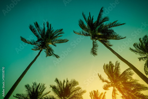 Silhouette coconut palm trees on beach at sunset. Vintage tone.