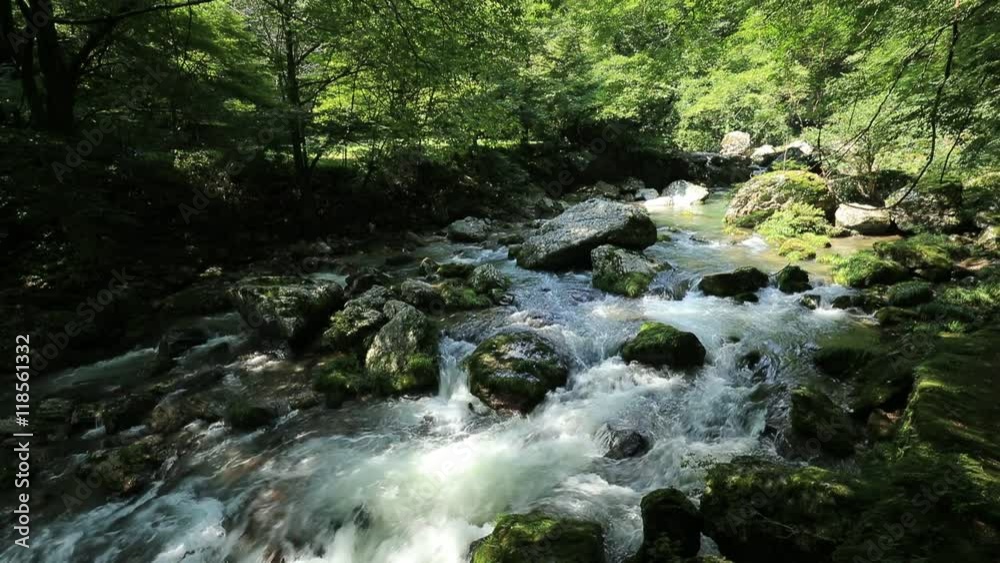 新緑の小田深山(愛媛県喜多郡内子町)/フィックス 新緑の小田深山(愛媛県喜多郡内子町)/フィックス