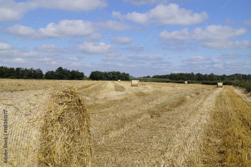 Rundballen auf Stoppelfeld 