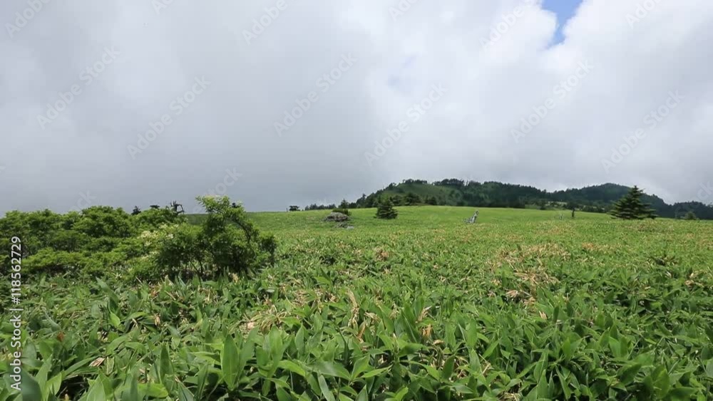 瓶ヶ森（かめがもり）／