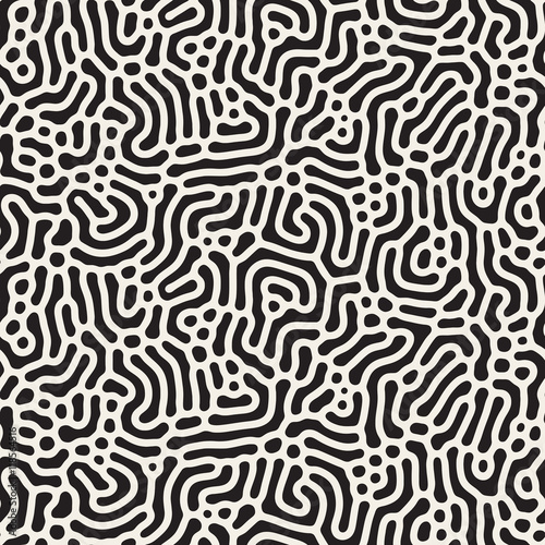 Vector Seamless Black and White Organic Lines Pattern © Samolevsky