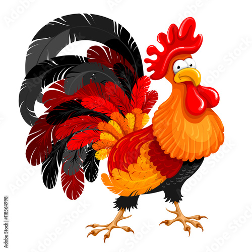Rooster