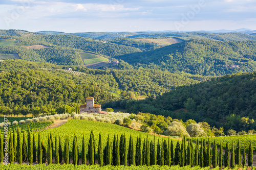 Chianti vineyards and hills  Tuscany  Italy.