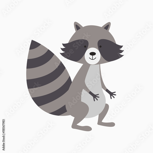 Funny raccoon isolated on white background.