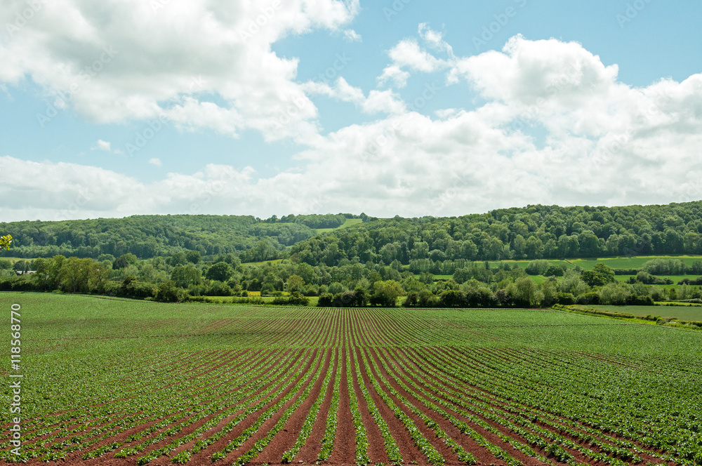 English countryside scenery.