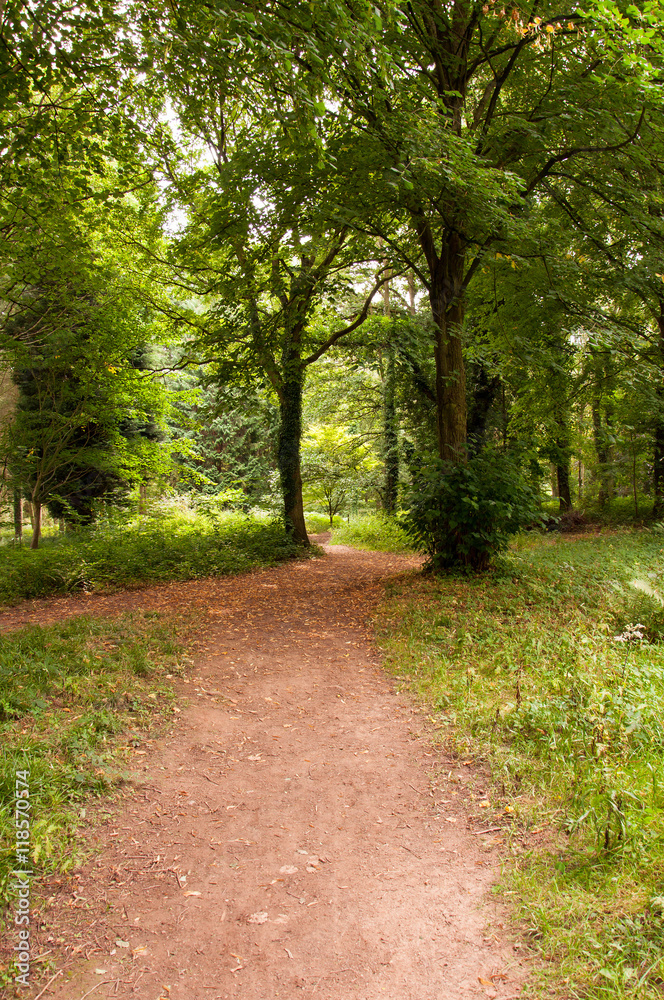 Countrside pathway Countrside pathway