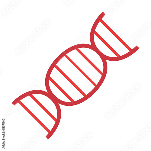 flat design dna strand icon vector illustration