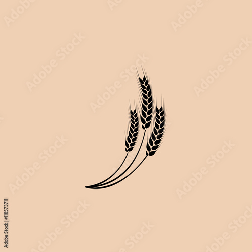 spikelets  icon