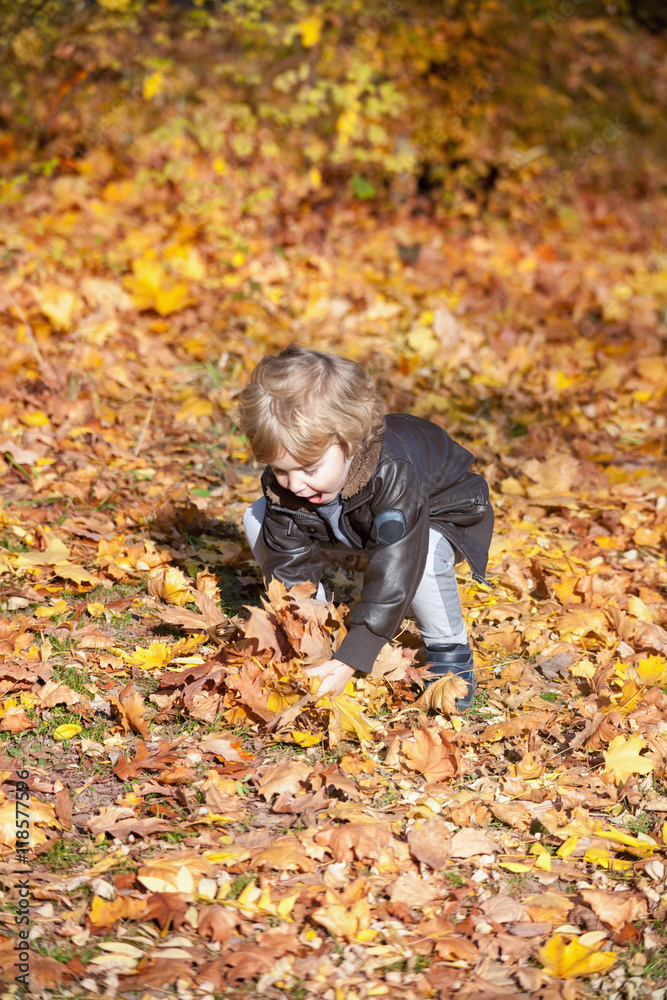 Small boy having fun with autumn leaves. Small boy having fun with autumn leaves.