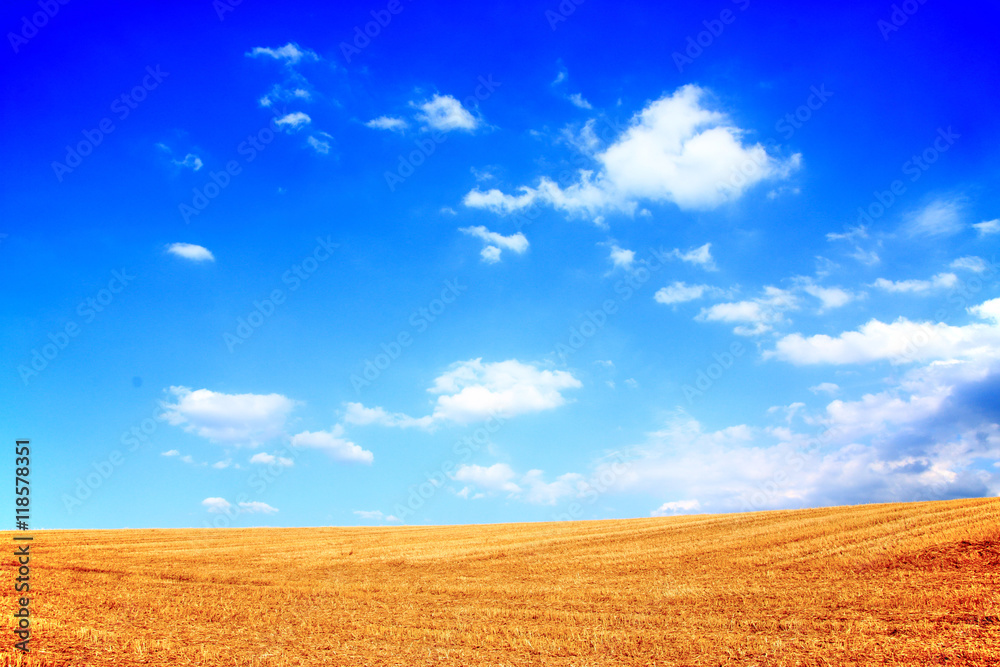 Sommerliches Getreidefeld nach der Ernte unter blauem Himmel