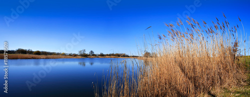 Reeds by Calm Lake under Blue Sky in Spring Landscape