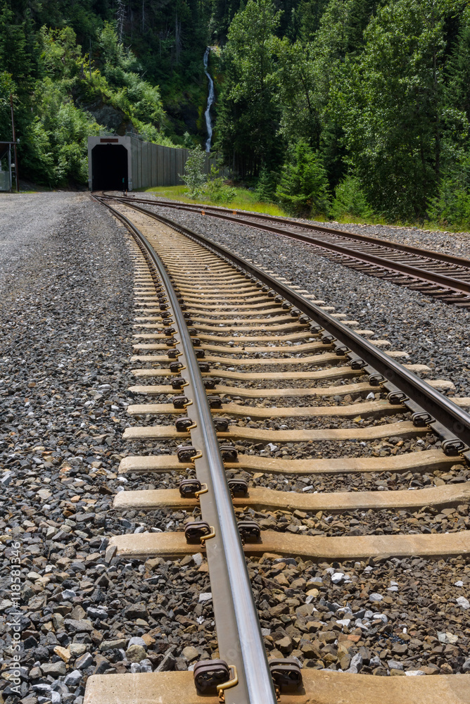 Two sets of train tracks curving into a tunnel
Two sets of train tracks curving into a tunnel