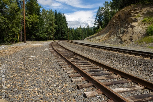 Two sets of train tracks curving into the landscape
