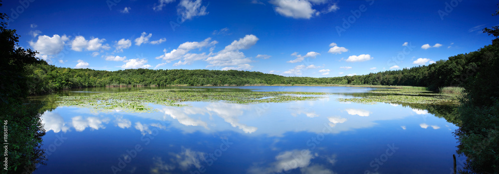Fototapeta premium Lake amongst the Woods, Cumulus Clouds Reflecting in Water