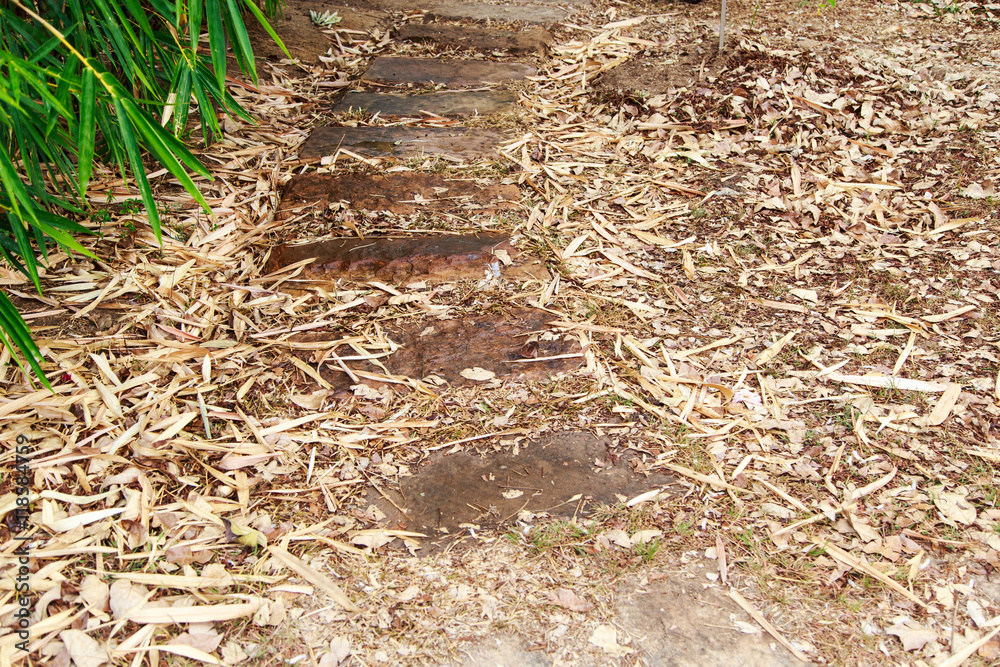 Obraz premium Autumn park 