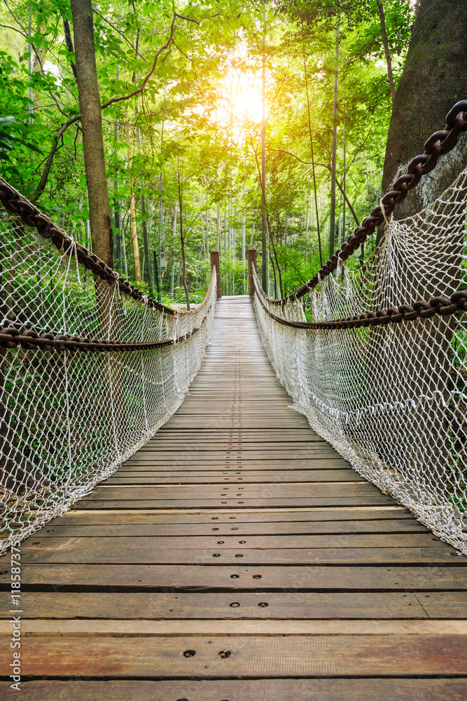 Obraz premium suspension bridge in the quiet forest