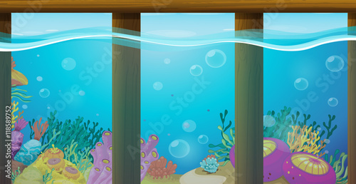Scene with underwater and coral reef