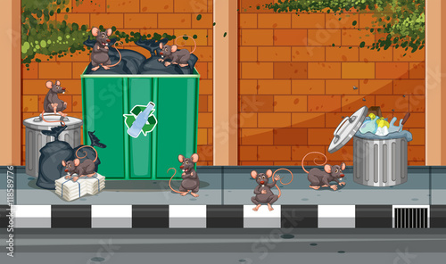 Scene with rats in the trashcans