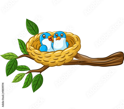 Bird in the nest isolated on white background 