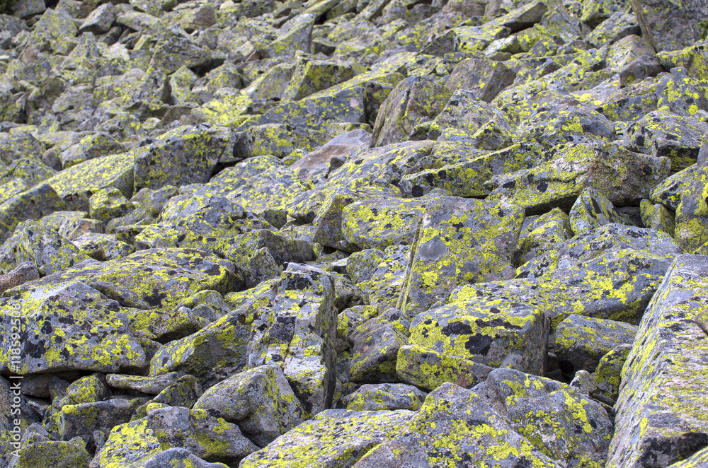 Moraine on the mountain slope.Large stone rocks moraine in Pirin national park,Bulgaria
Moraine on the mountain slope.Large stone rocks moraine in Pirin national park,Bulgaria