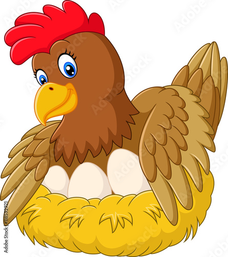 Cute hen brooding her egg

