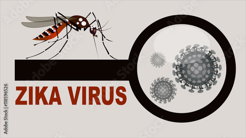 Spread of zika and dengue virus. (Vector Design)