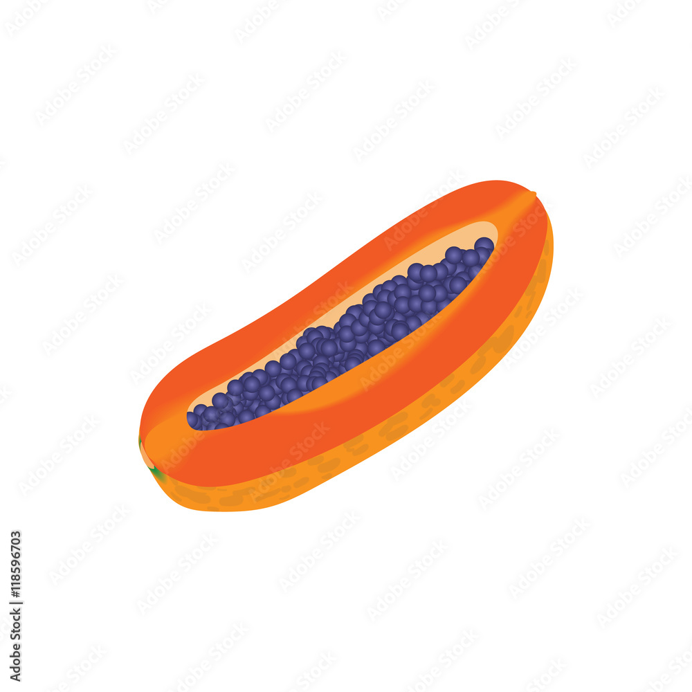 Papaya icon in cartoon style isolated on white background. Plant symbol Papaya icon in cartoon style isolated on white background. Plant symbol