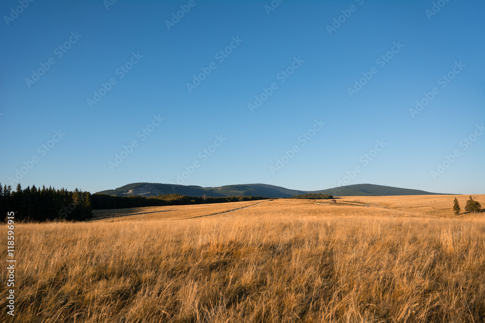 Beautiful mountain landscape with golden light from sunset