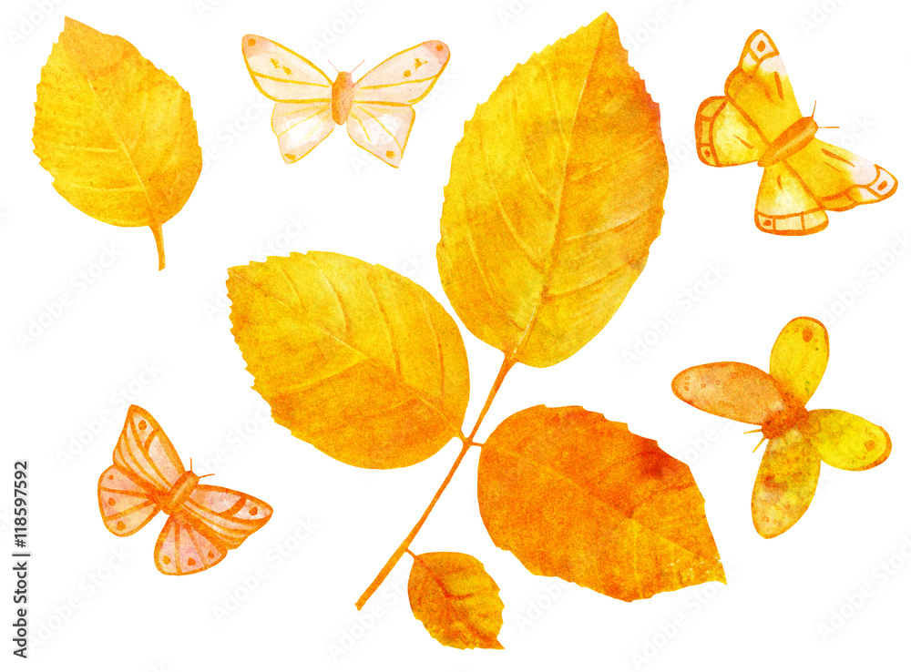 Fototapeta premium Watercolor golden toned leaves and butterflies on white