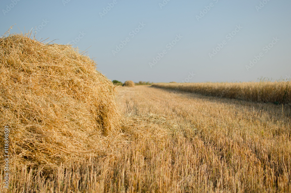 Haystack on the field.