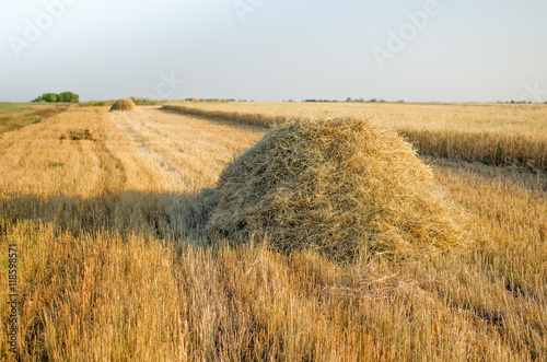 Haystack on the field.