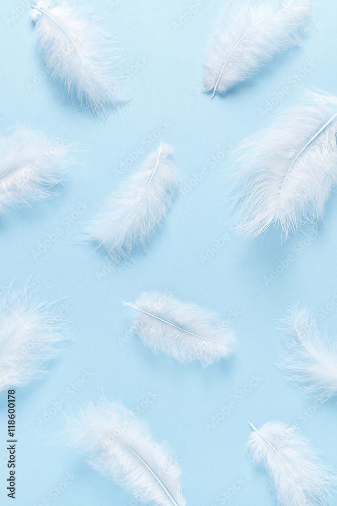 Soft, fluffy white feathers on pastel blue background. Minimalism style.  Stock Photo | Adobe Stock