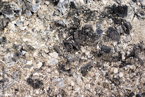 A closeup of burnt wood ashes