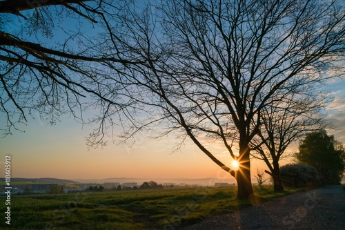 Sunrise and one tree