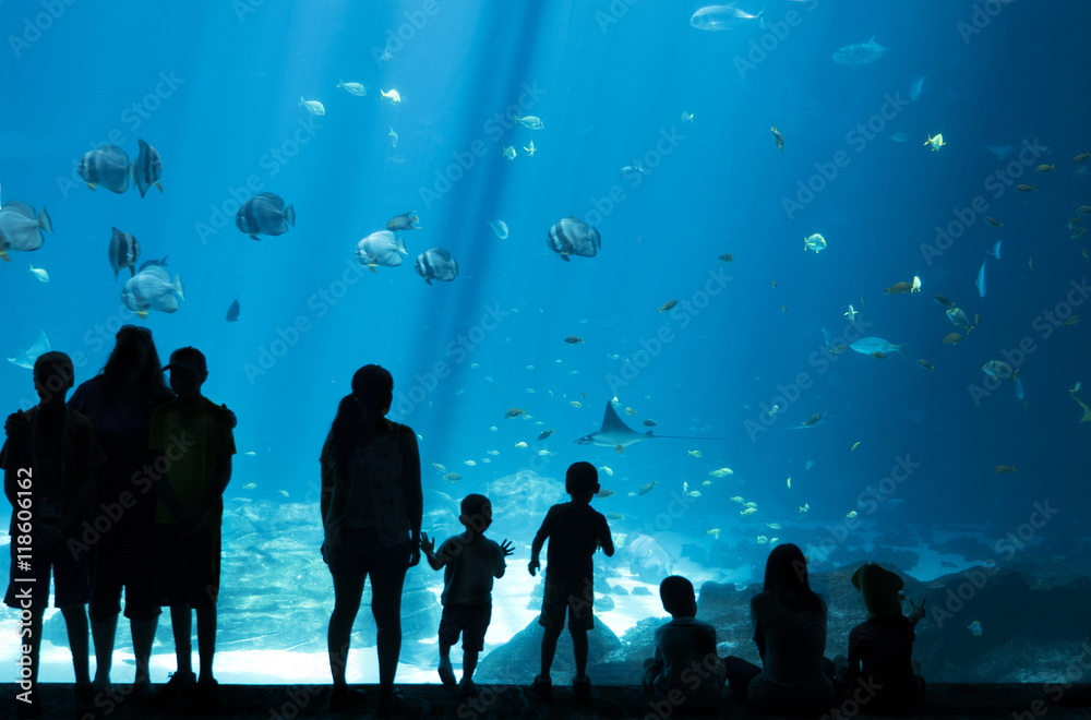 Obraz premium Sylwetki ludzi patrząc na ryby w ogromnym akwarium, akwarium