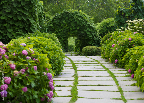 Green arch in botany garden