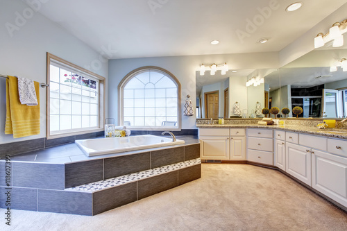 Master bathroom with large mirror  long counter and luxury bathtub