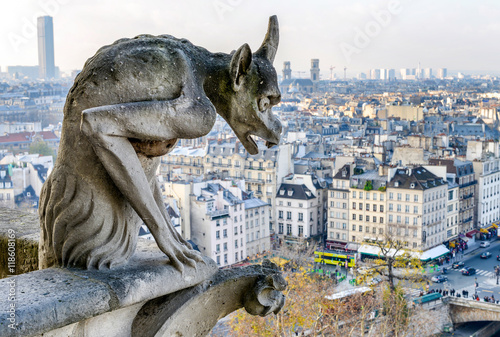 Magnificence of Paris skyline, France © jovannig