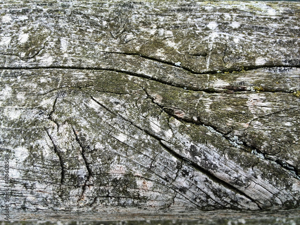 Obraz premium Holzstruktur