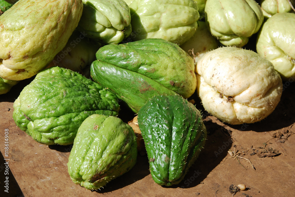 Obraz premium chouchou christophine